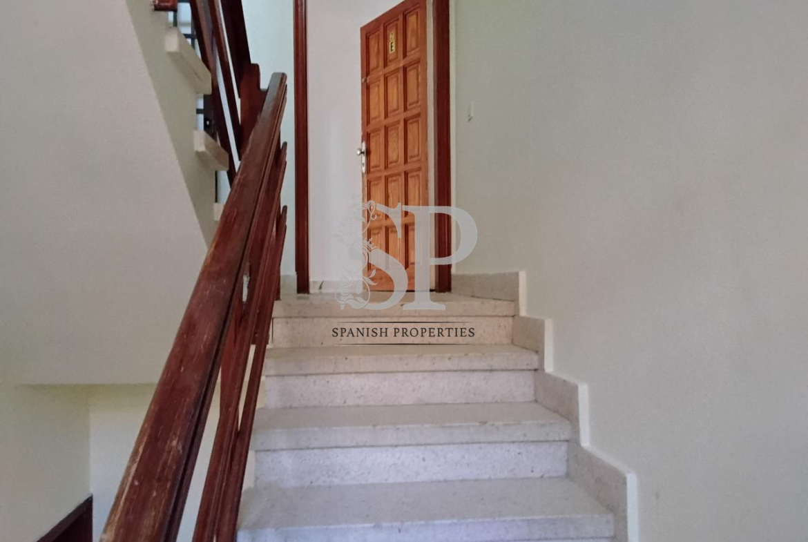 SP1C-313